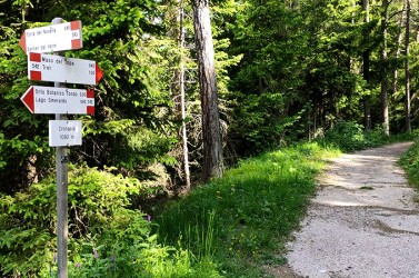 strada "vecchia" da Fondo verso Tret