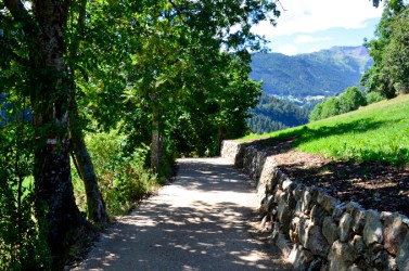 Sentiero verso la base della cascata